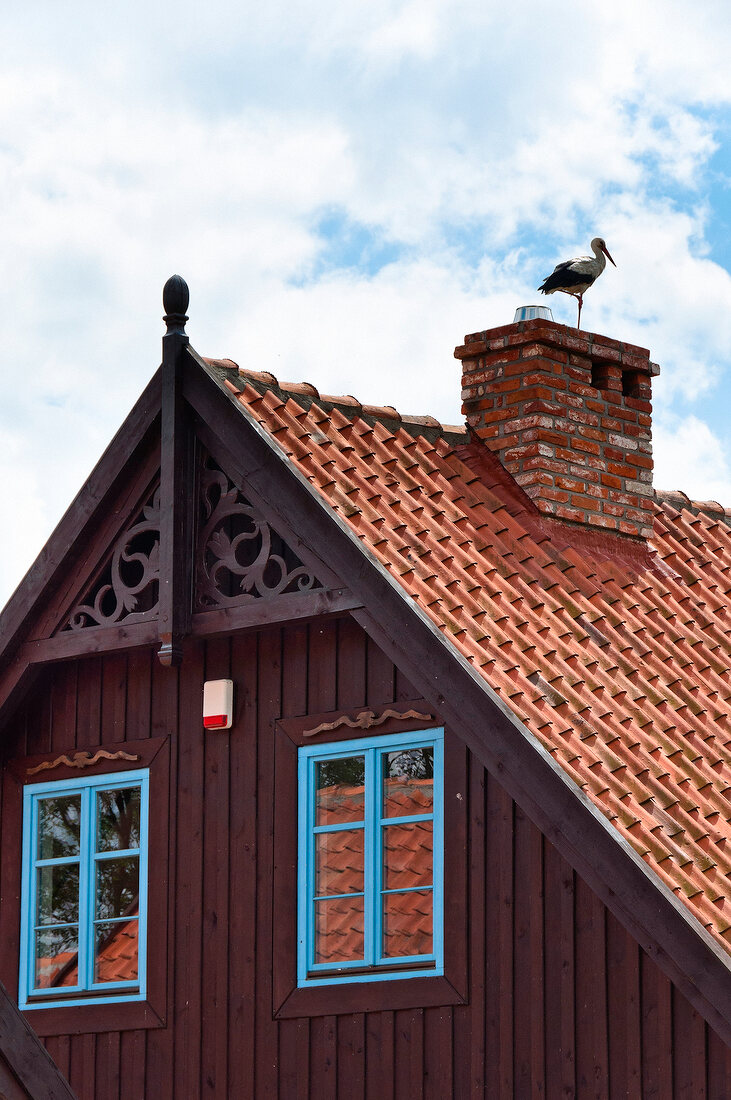 Polen: Ermland-Masuren, Masuren, nahe Mikolajki, Bauernhaus, Storch