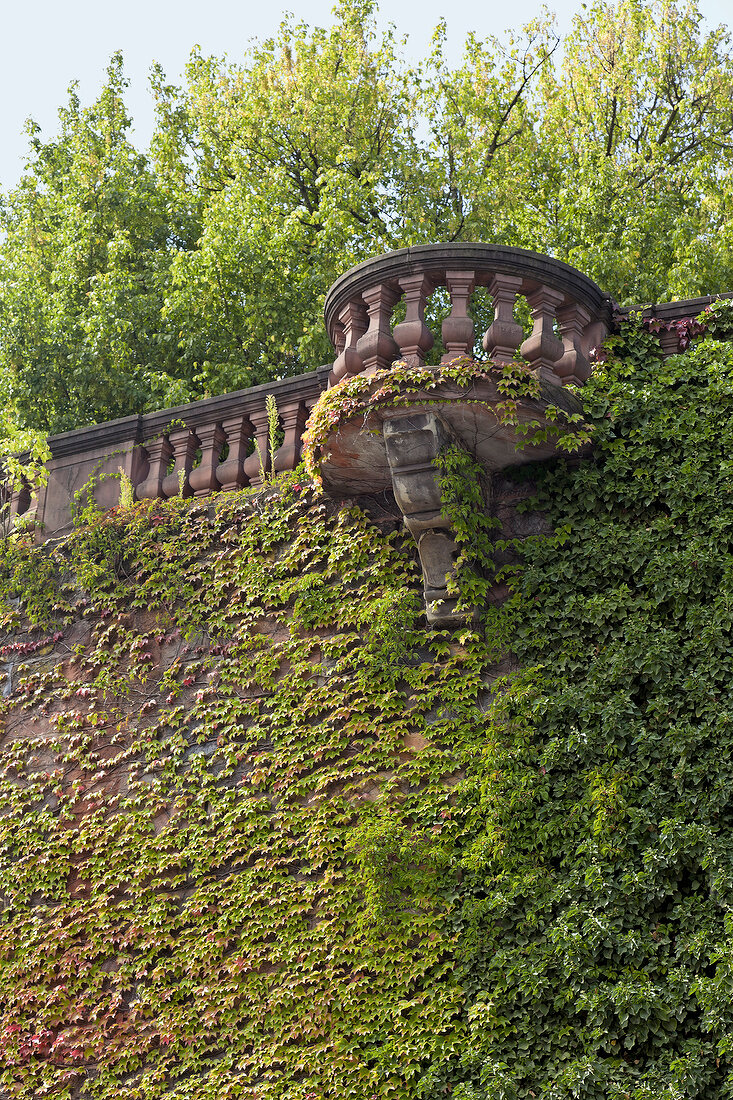 Saarland, Alt-Saarbrücken, Schloss Saarbrücken, Mauer, Kanzel