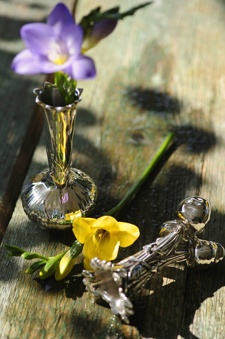 violette und gelbe Freesien in silbernen Vasen