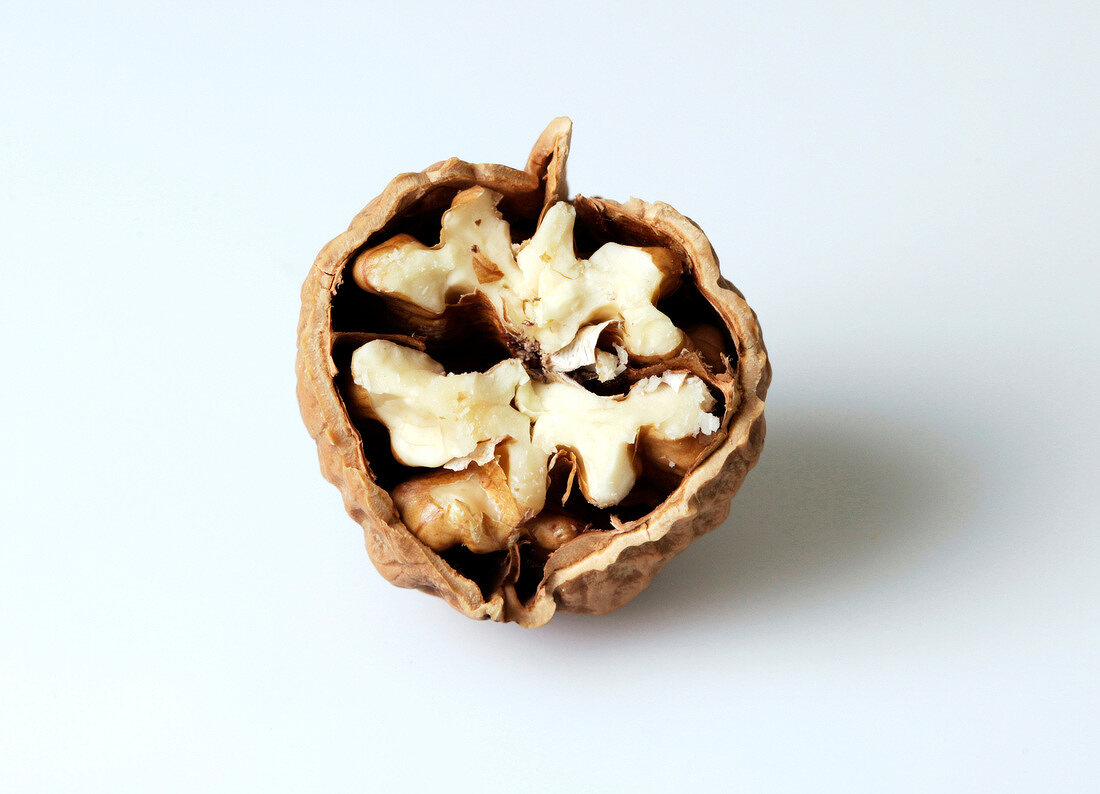 Close-up of halved walnut on white background