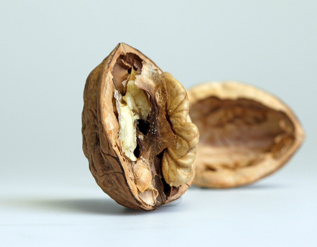 Close-up of walnut in broken shell on white background