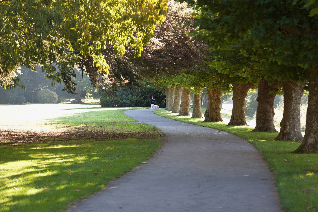 Saarland, Saarbrücken, Staden, Park, Allee, Spaziergang