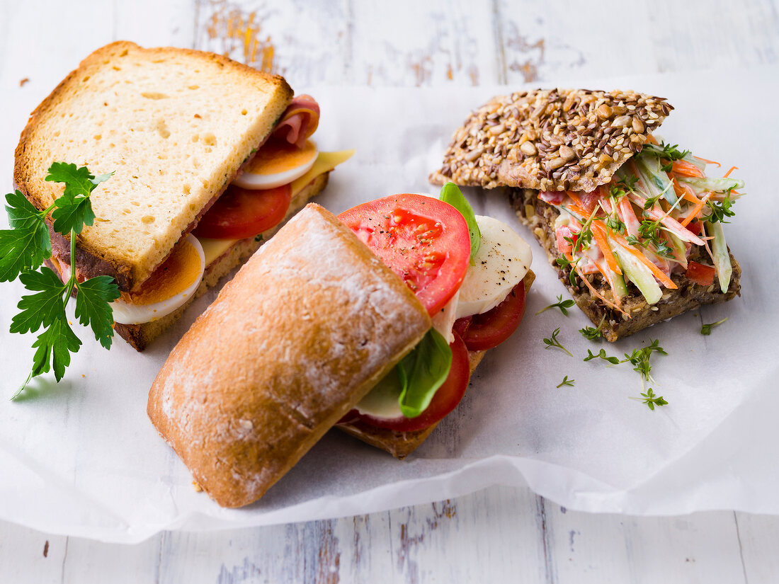 Close-up of three different types of sandwiches baked