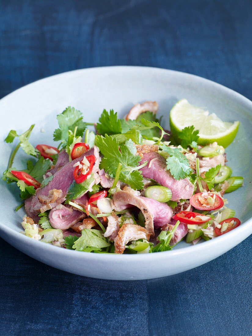 Entenbrustsalat mit Chili, Frühlingszwieben & Koriander (Thailand)