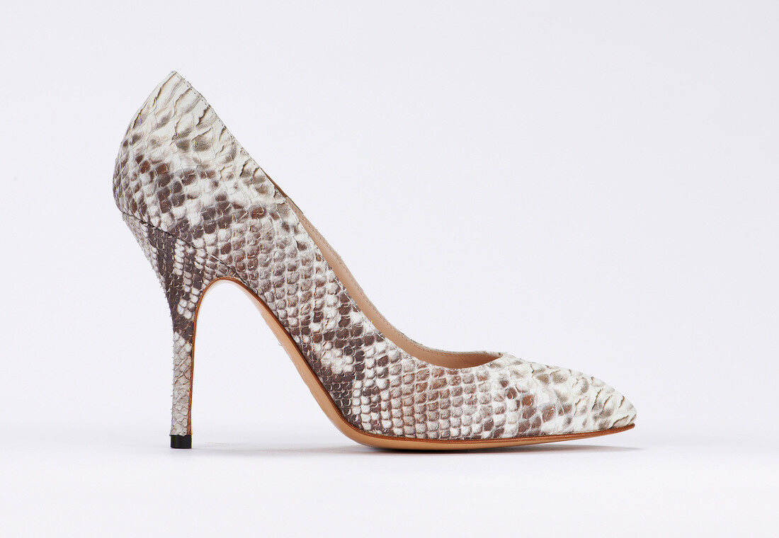 Close-up of snake pattern stiletto pumps on white background