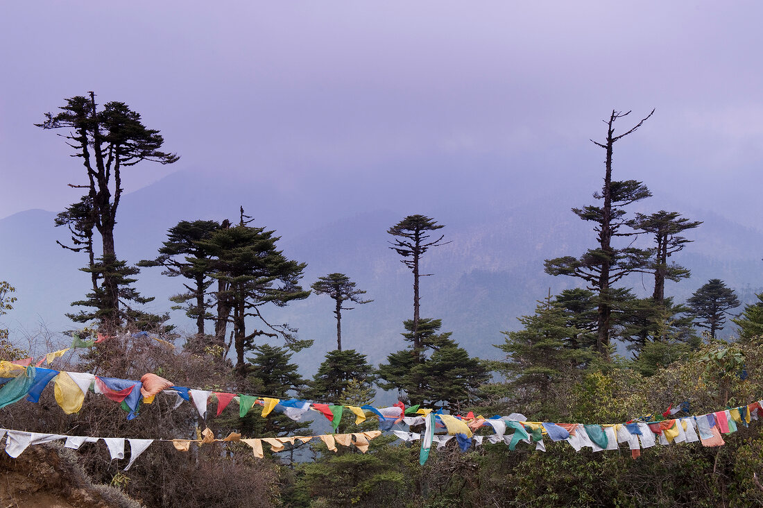 The Thrimsingla pass, Bhutan