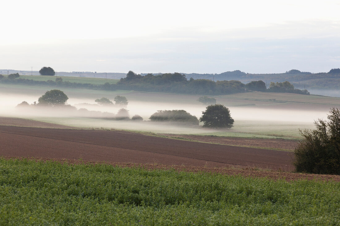 View of landscape with fog at Oscholz, Mettlach, Saarland, Germany