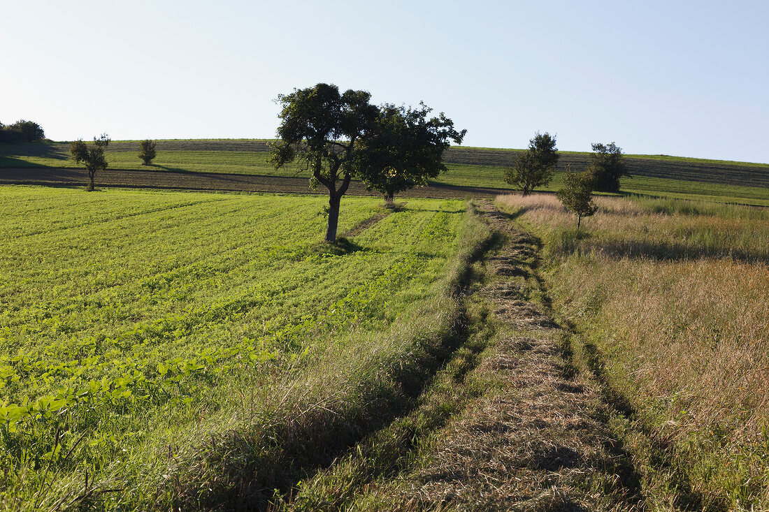 View of landscape at Wolfer, Bliesgau, Saarland, Germany