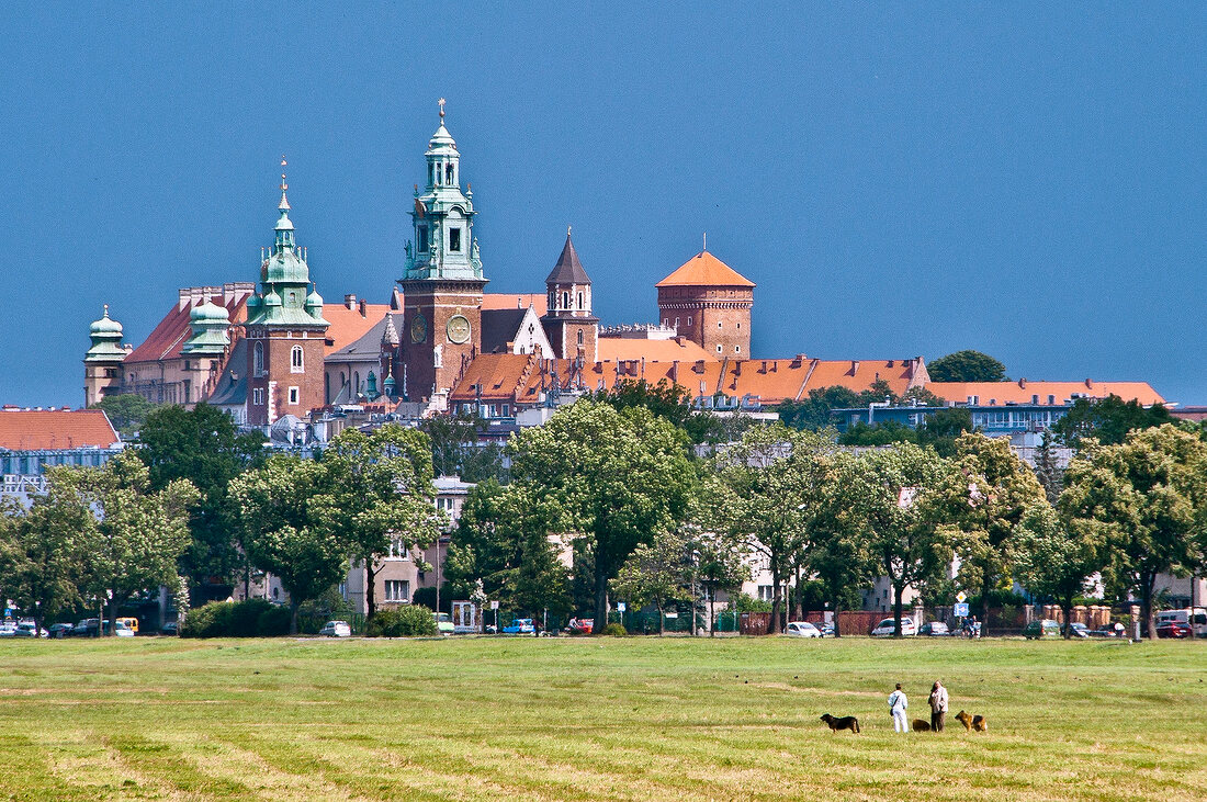 View of Wawel Royal Castle and meadow in Krakow, Poland