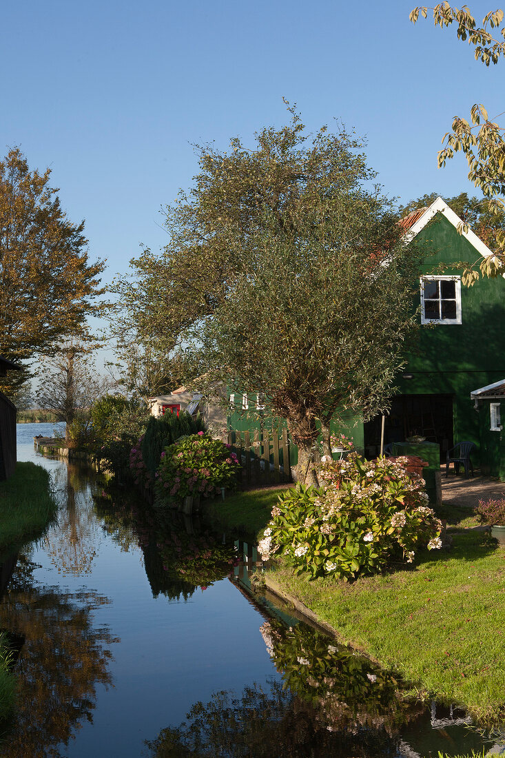 View of garden and wooden houses in village Holysloot, Noord, Amsterdam, Netherlands