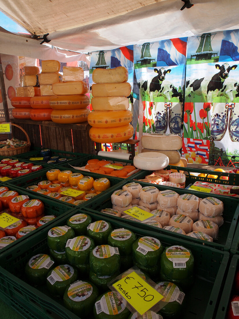 Different cheese loaves on stand at Nieuwmarket, Amsterdam, Netherlands