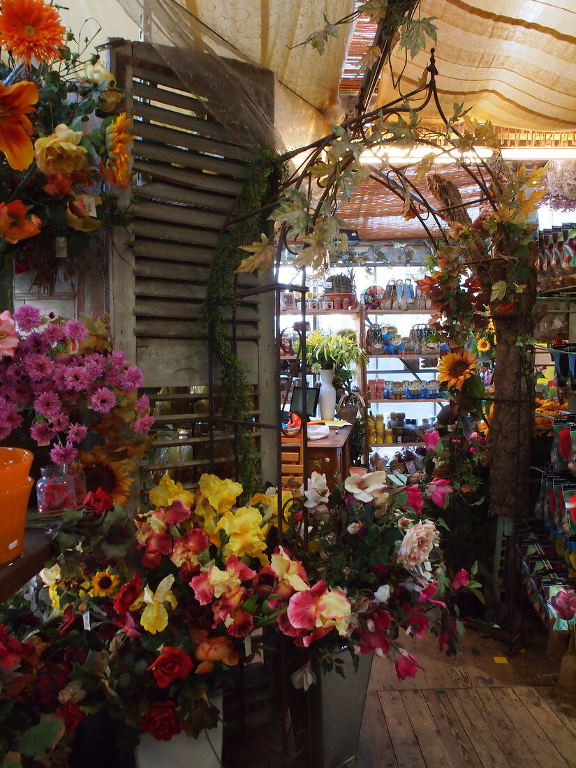 Interior of flower market in Singel Canal, Amsterdam, Netherlands