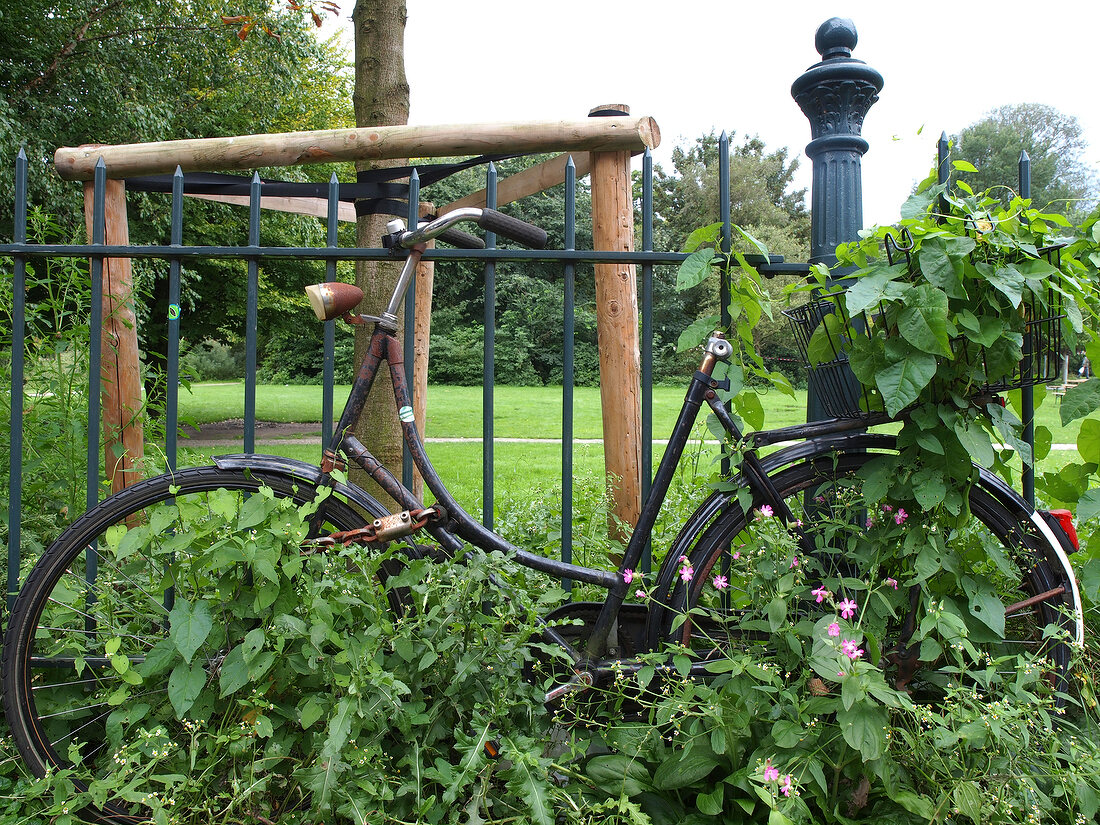 Bicycle on fence in de Pijp, Sarphatipark, Amsterdam