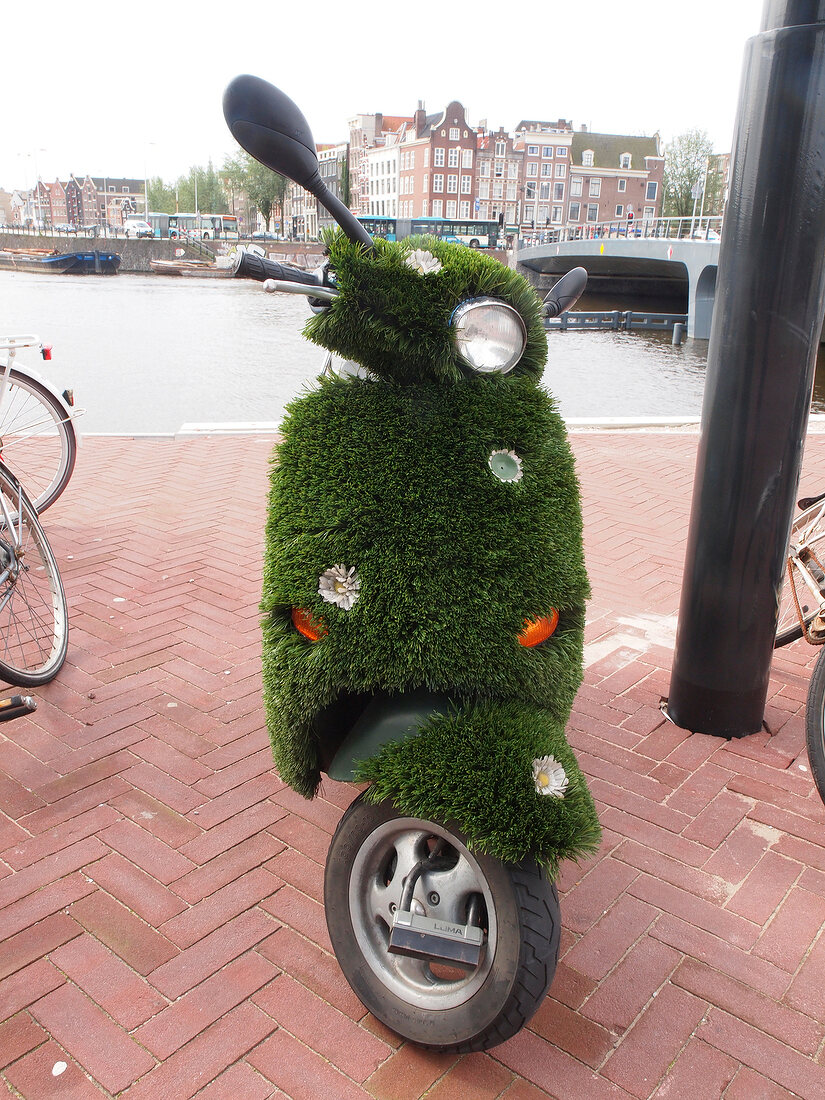 Scooter covered with grass parked on pavement at Amsterdam, Netherlands