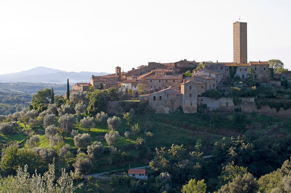 Elevated view of Pereta, Tuscany, Italy