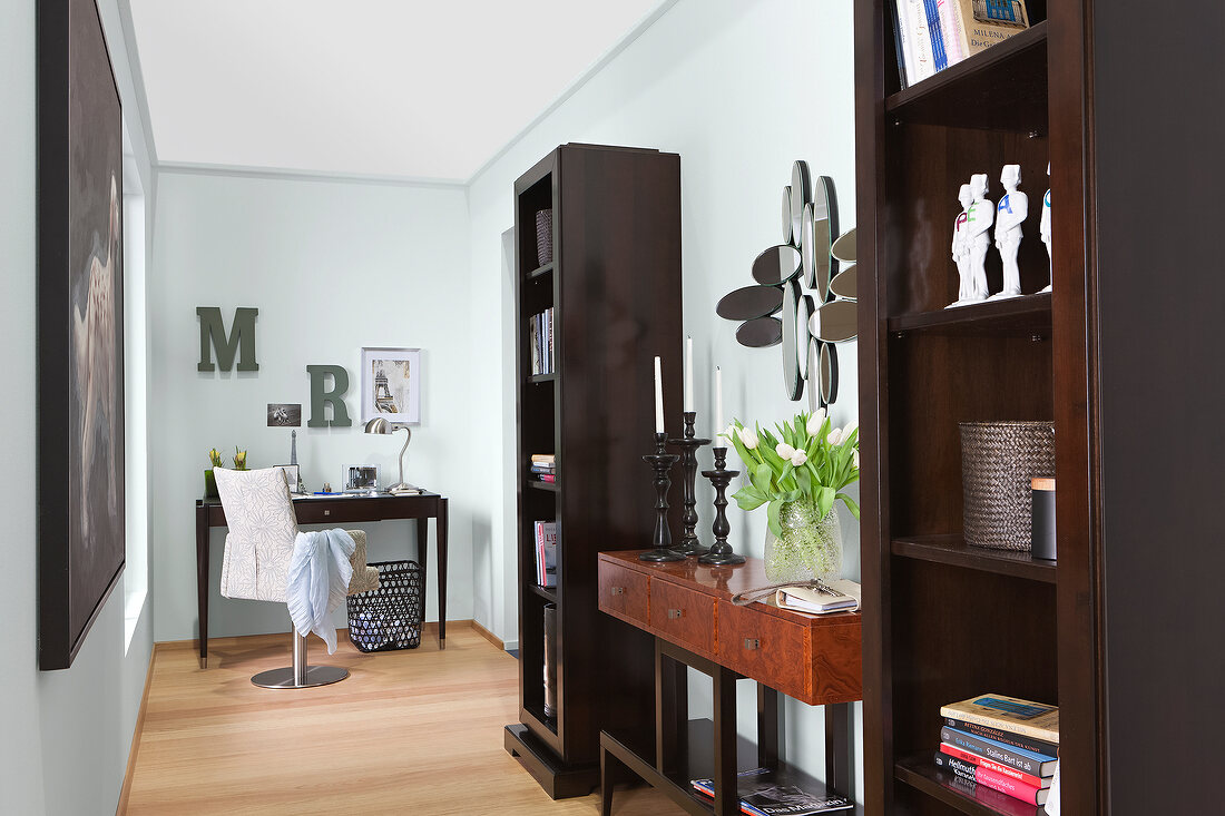 Corridor with desk, bookshelves and workplace