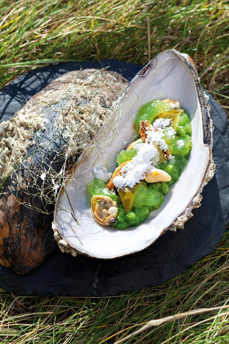 Muschelsalat mit Gurkengelee und Meerrettichschnee in einer Muschel