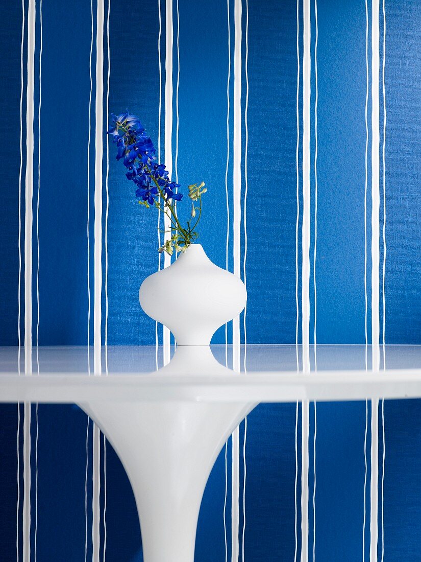Delphinium in vase on white table against blue and white striped wallpaper