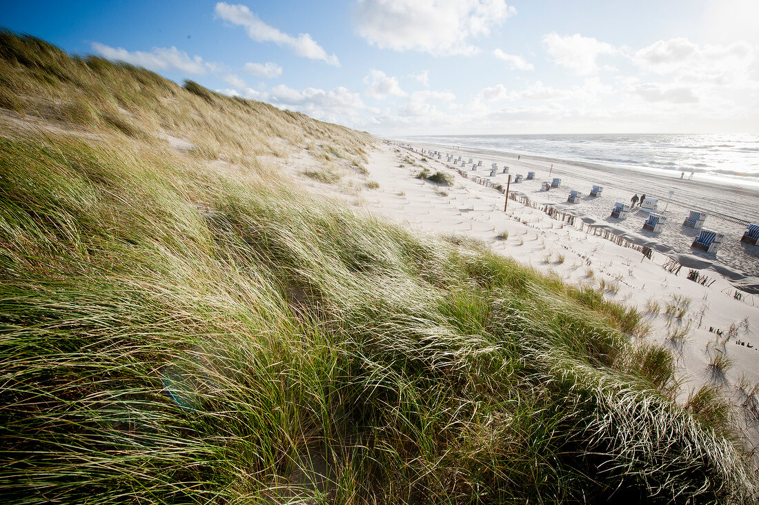 Beach chairs on beach in Sylt, Germany