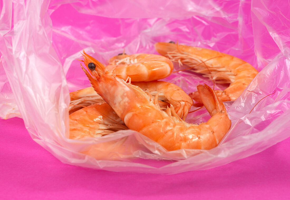 Close-up of shrimp in bag