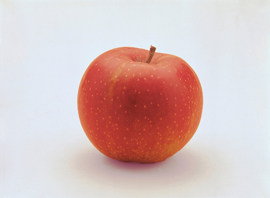 Food, Apfel der Sorte "Roter Boskoop", Freisteller