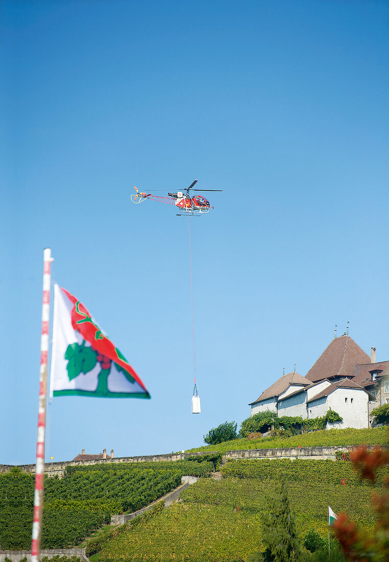 Genfer See, Kanton Waadt, Lavaux, Helikopter über Weinbergen