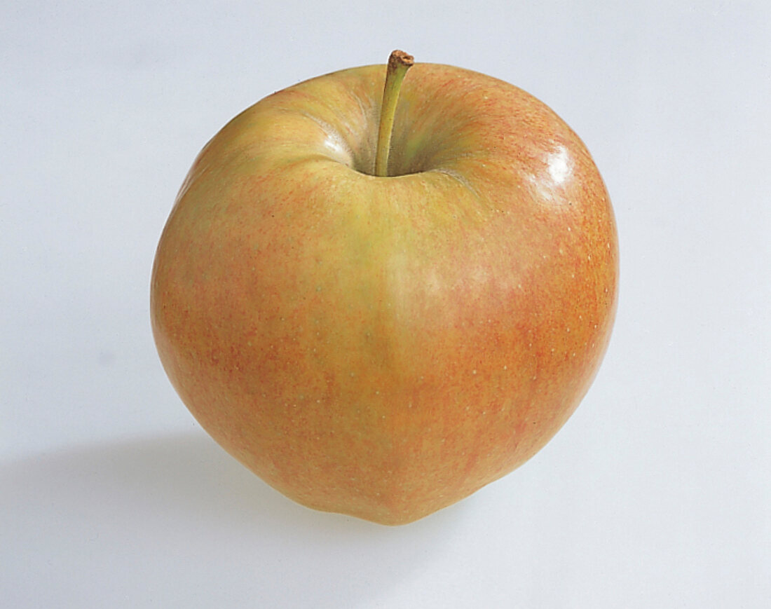 Food, Apfel der Sorte "Jonagold" aus den USA, Freisteller