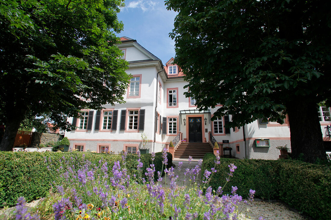 Herrenhaus von Löw Loew-Hotel Bad Nauheim