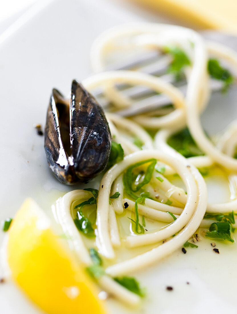 Close-up of spaghetti with mussels