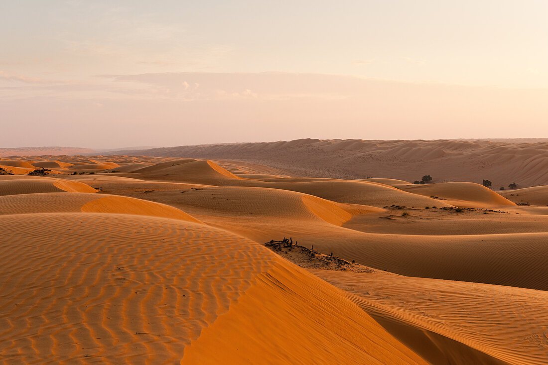 Sand dunes at Wahiba sands, Oman 