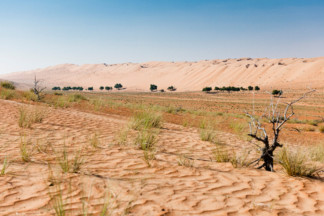Oman, Wahiba Sands, Wüstenlandschaft, Wüste, Dünen