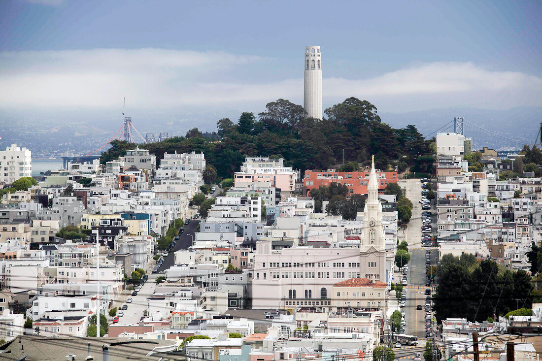 View of cityscape with Coit Tower and trees in San Francisco, California, USA
