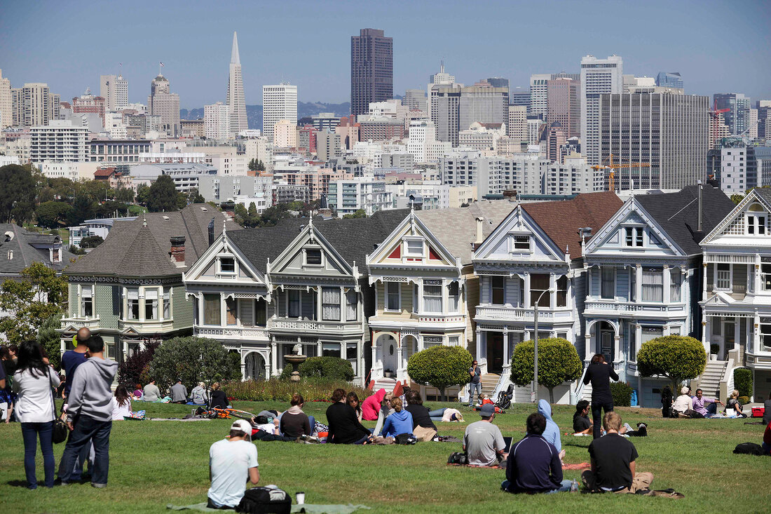 Wiese, Skyline, Menschen, Häuser, San Francisco