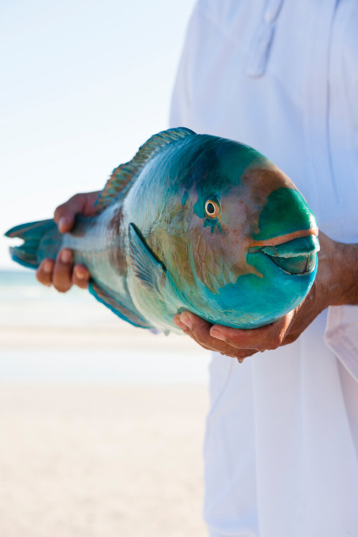 Man's hands holding seepapagei fish on beach in Dhofar, Oman