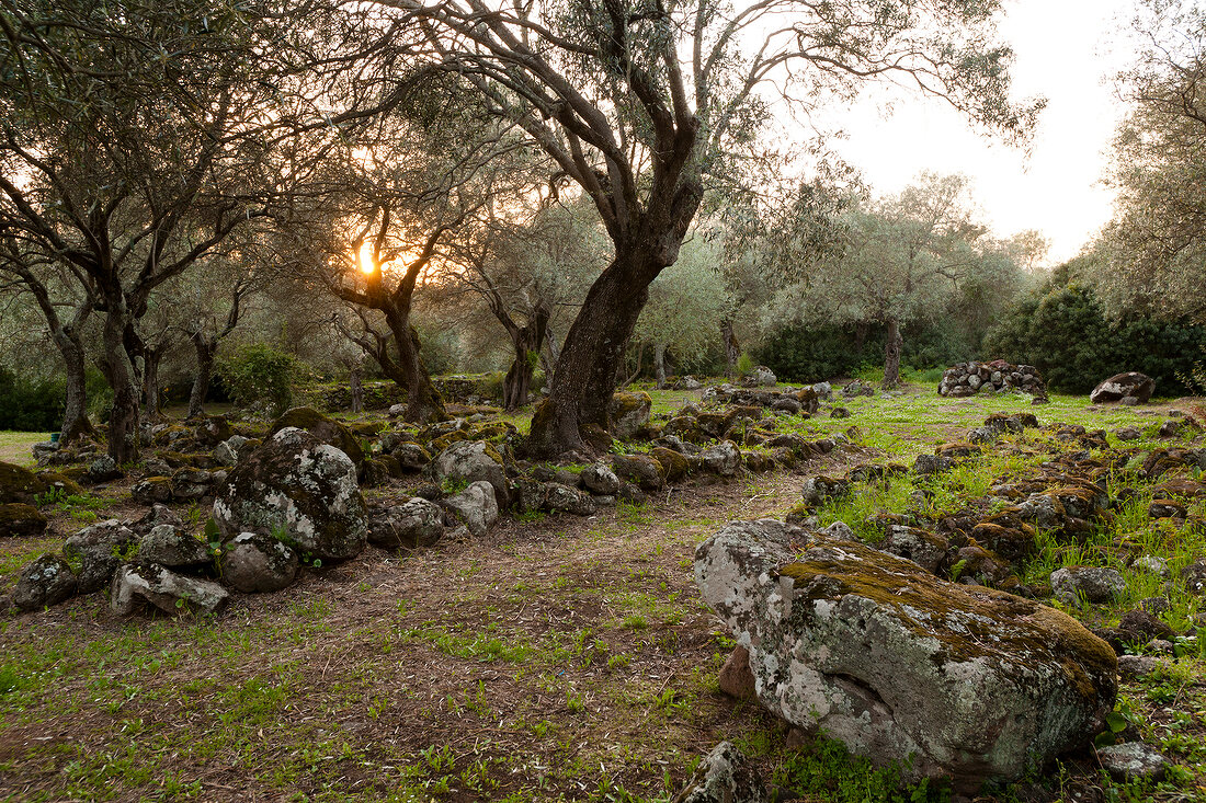 Sardinien, Oristano, Santa Cristina bei Paulilatino, Brunnenheiligtum