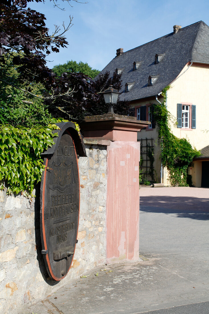 Baron Knyphausen Weingut Eltville am Rhein