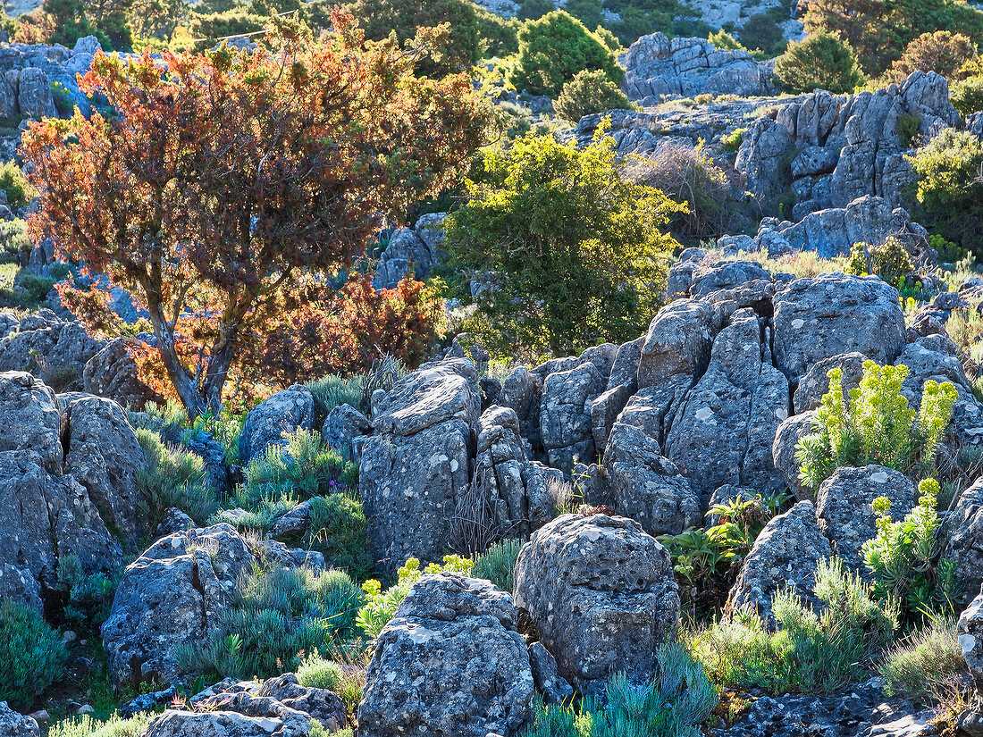 View of Supra Monte in Barbagie, Sardinia, Italy