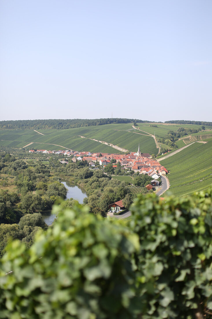 Winzerkeller Escherndorf Weingut Escherndorf