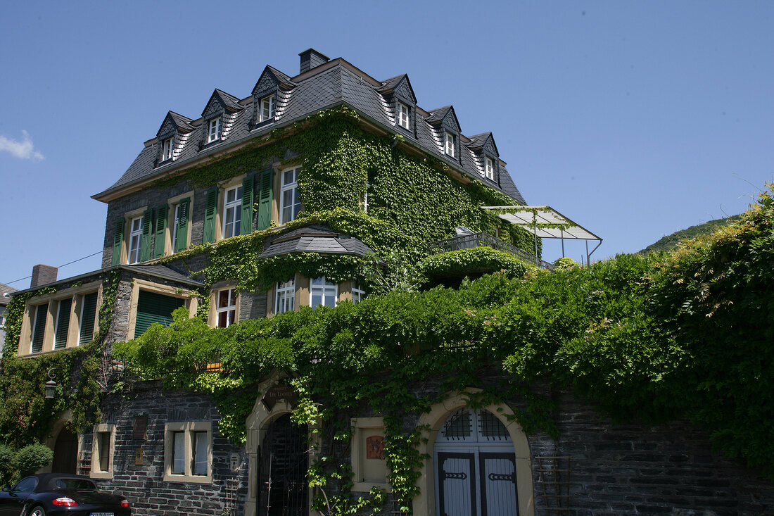 Dr Loosen St Johannishof Weingut Bernkastel-Kues