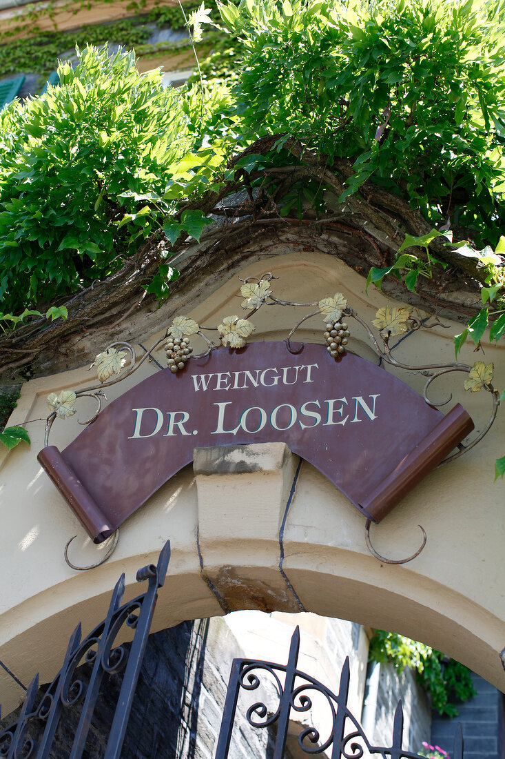 Dr Loosen St Johannishof Weingut Bernkastel-Kues