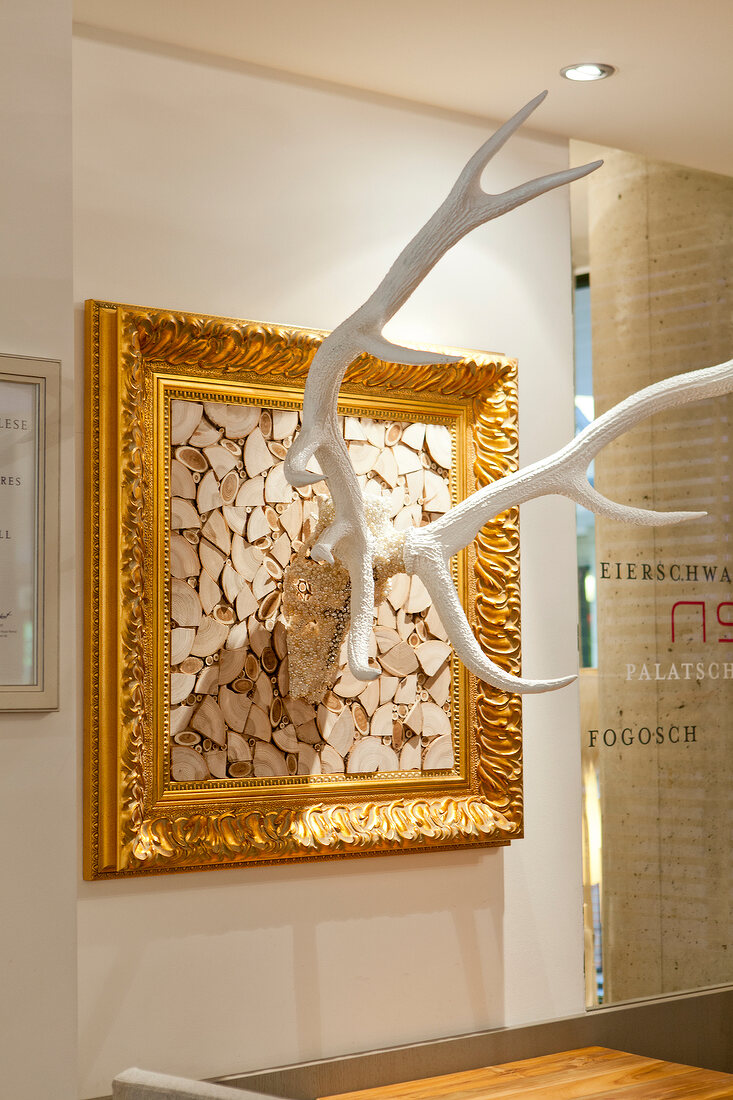 Stag in golden frame on white wall, Tschebull