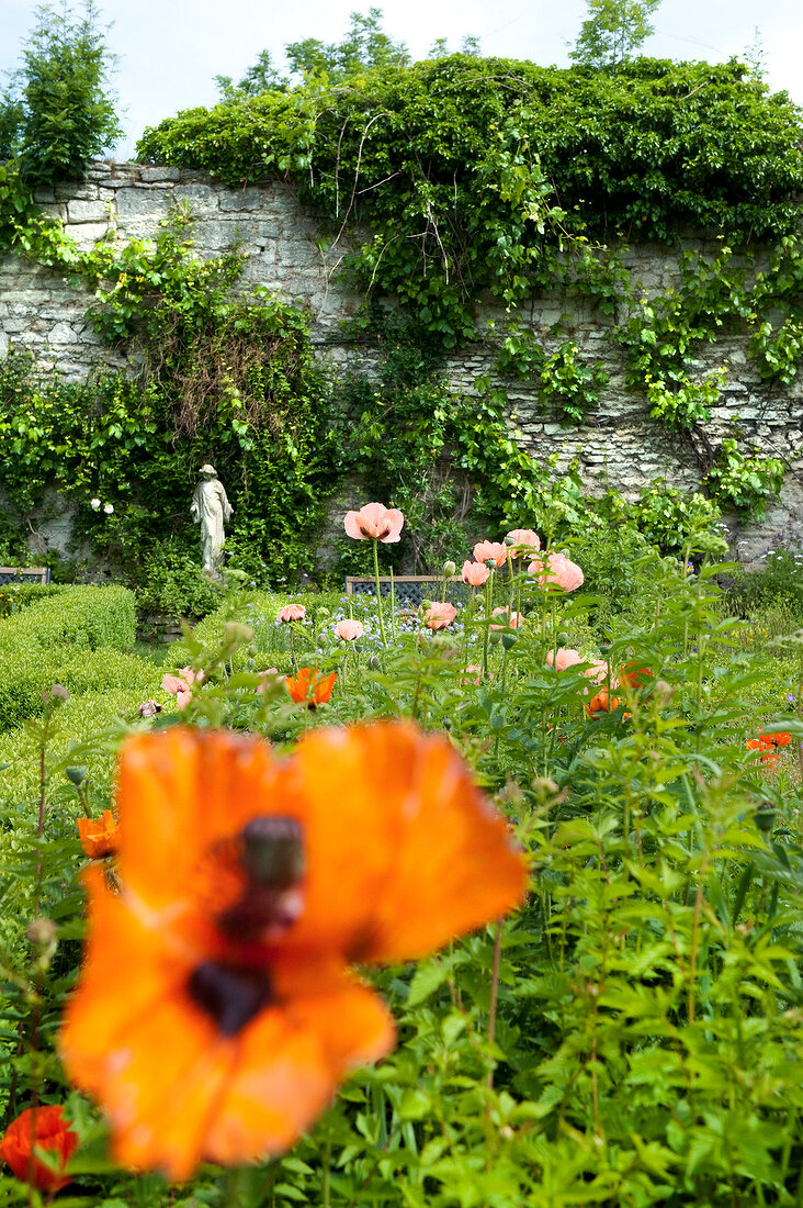 Flowers in garden of monastery Gerode with sculpture in distance, Germany
