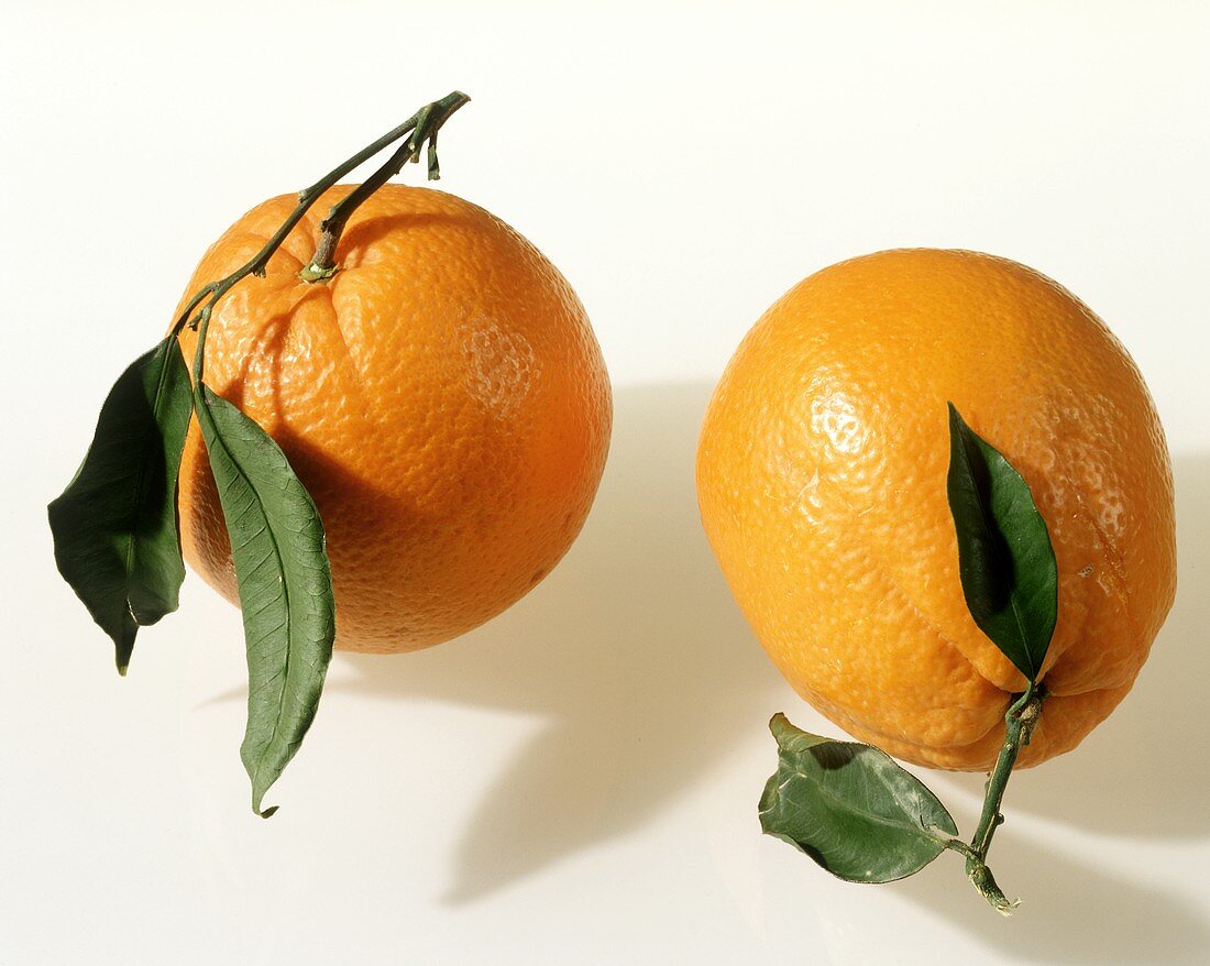 Zwei Orangen mit Blättern