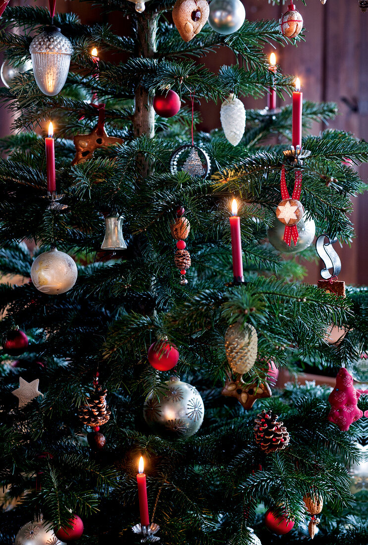 Weihnachtsbaum mit echten Kerzen, Silberschmuck, Pinienzapfen