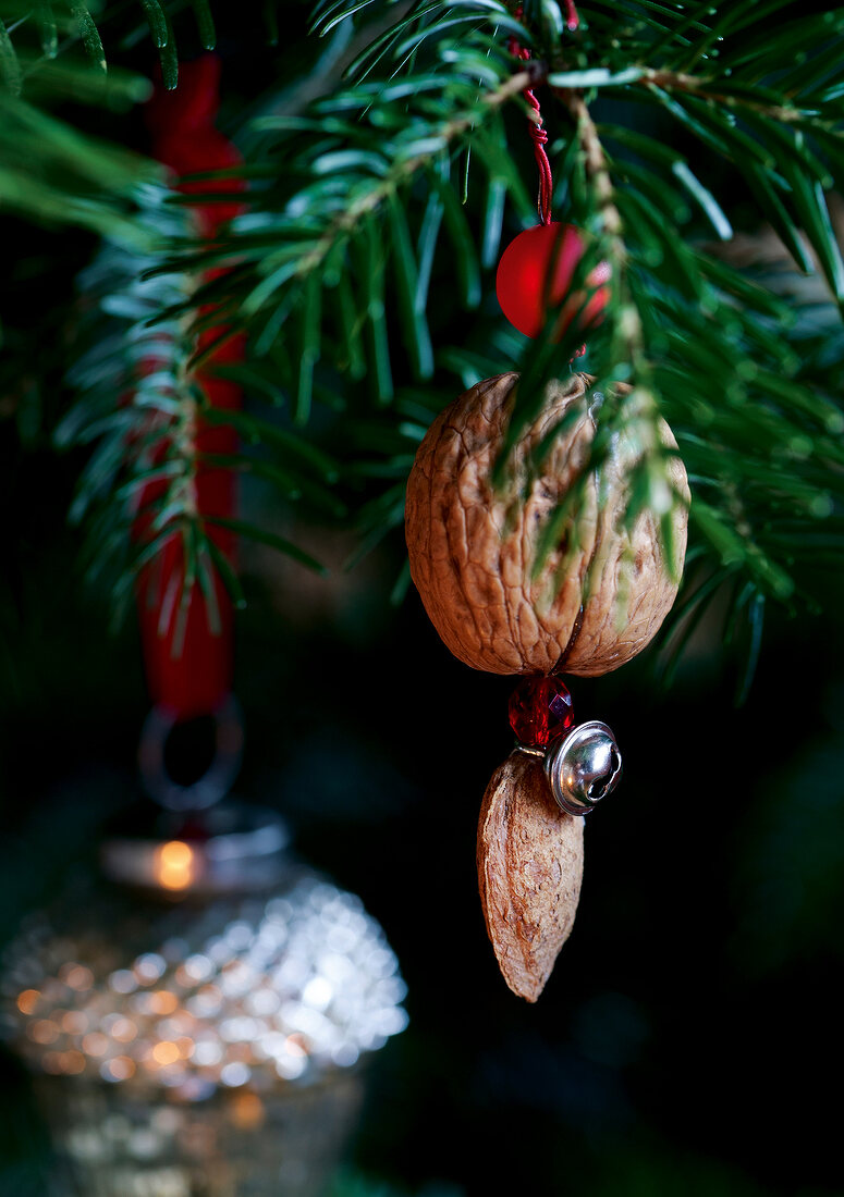 Walnut with almond in bead bell on Christmas tree