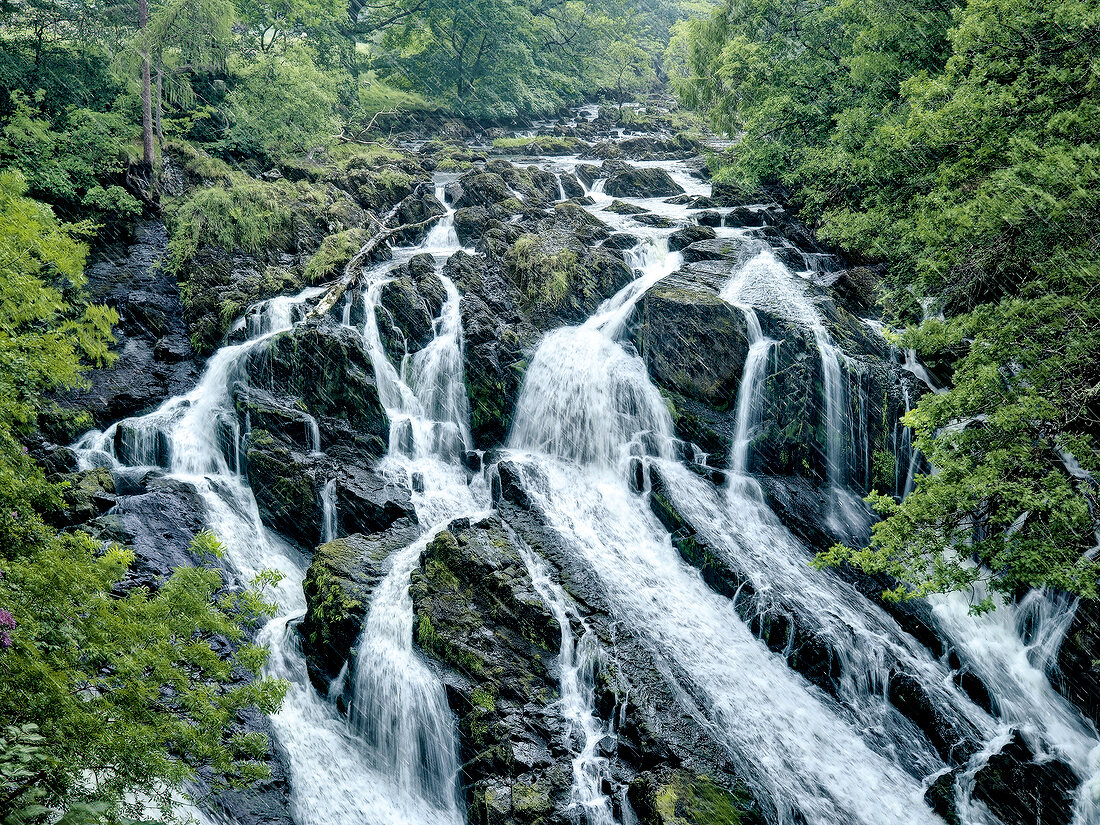 Swallow water falls and tress in Snowdonian National Park, Wales, UK