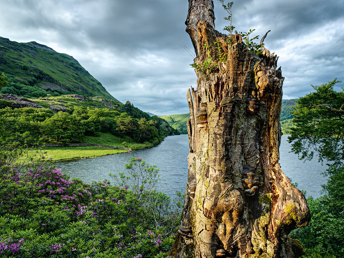 View of Llyn Gwynant lake in Nant Gwynant valley at Snowdonian National Park, Wales, UK