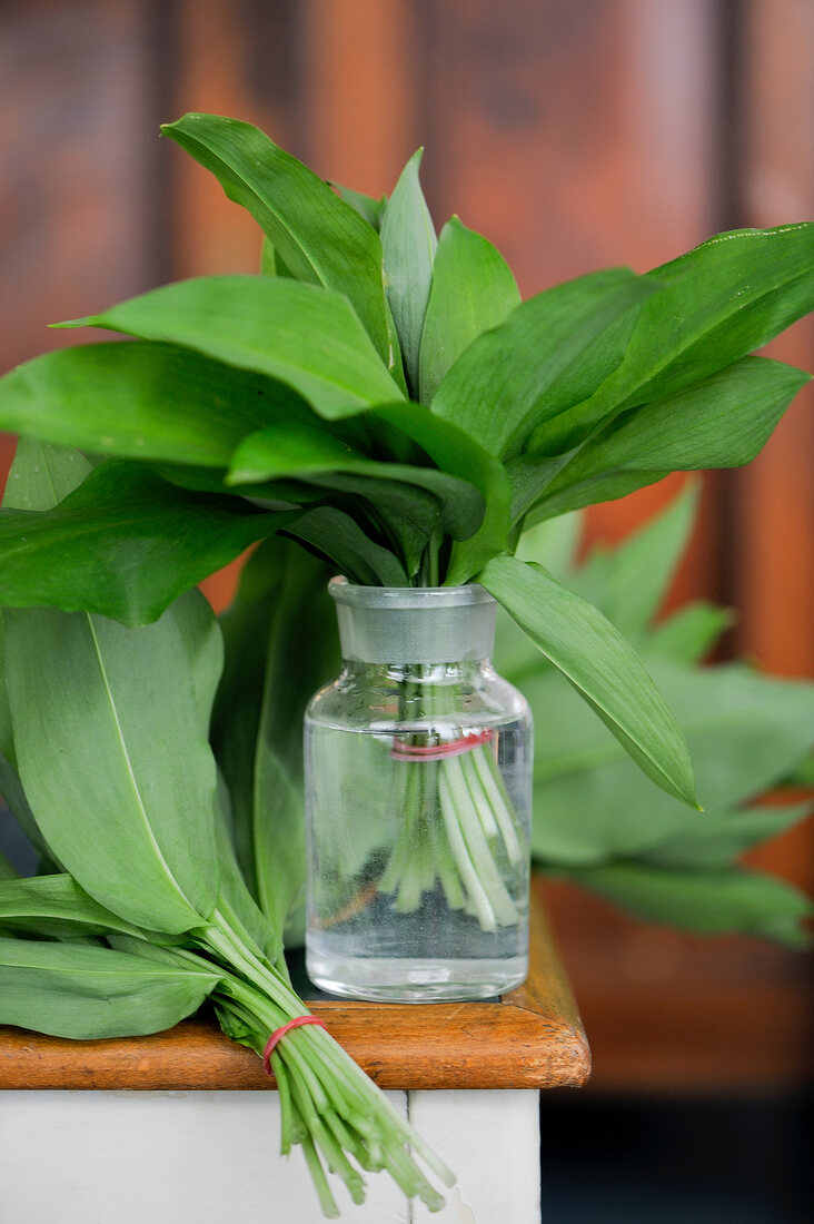 Wild garlic leaves in bottle