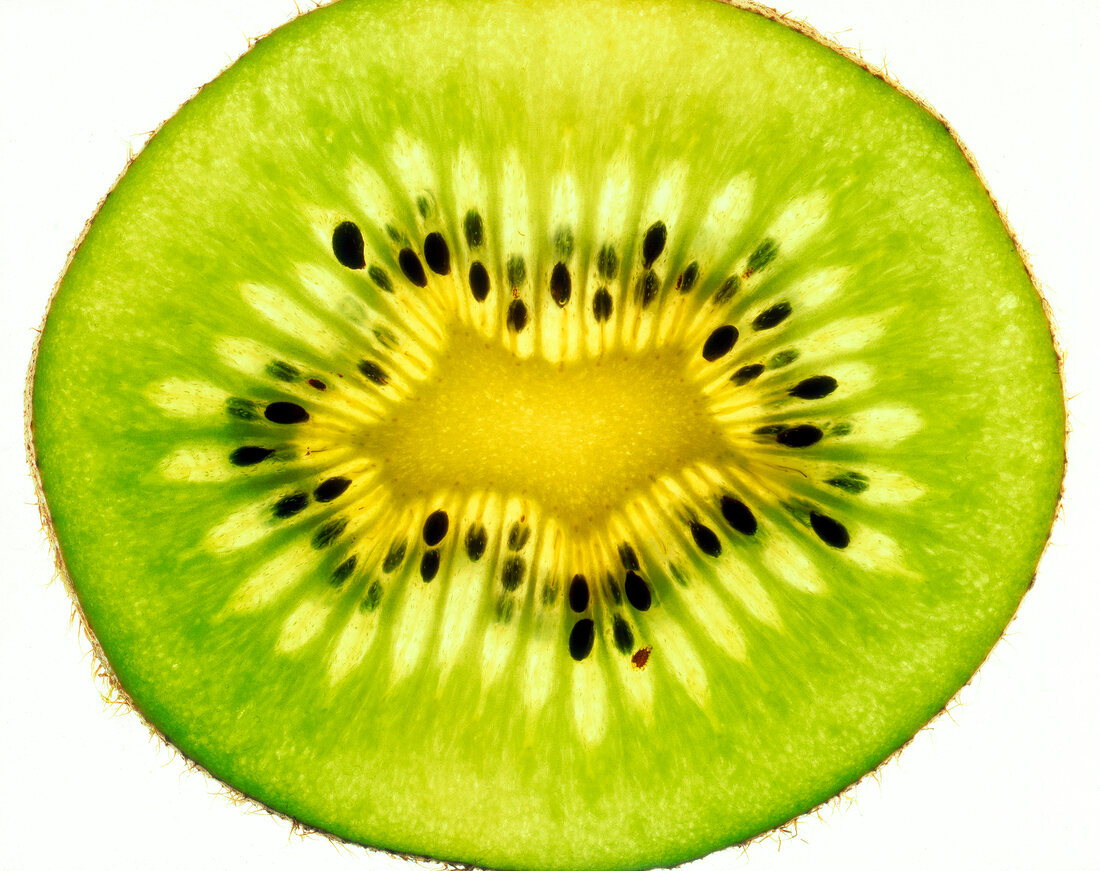Close-up of slice of kiwi on white background