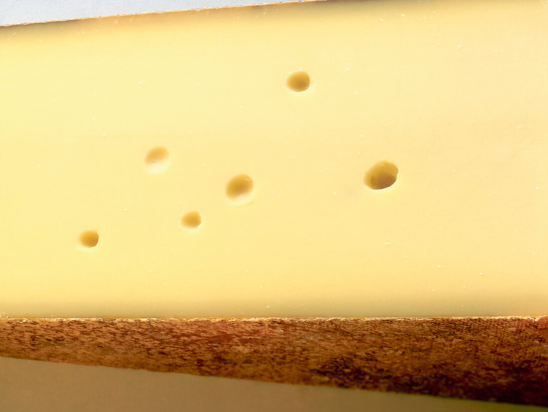 Close-up of piece of cheese